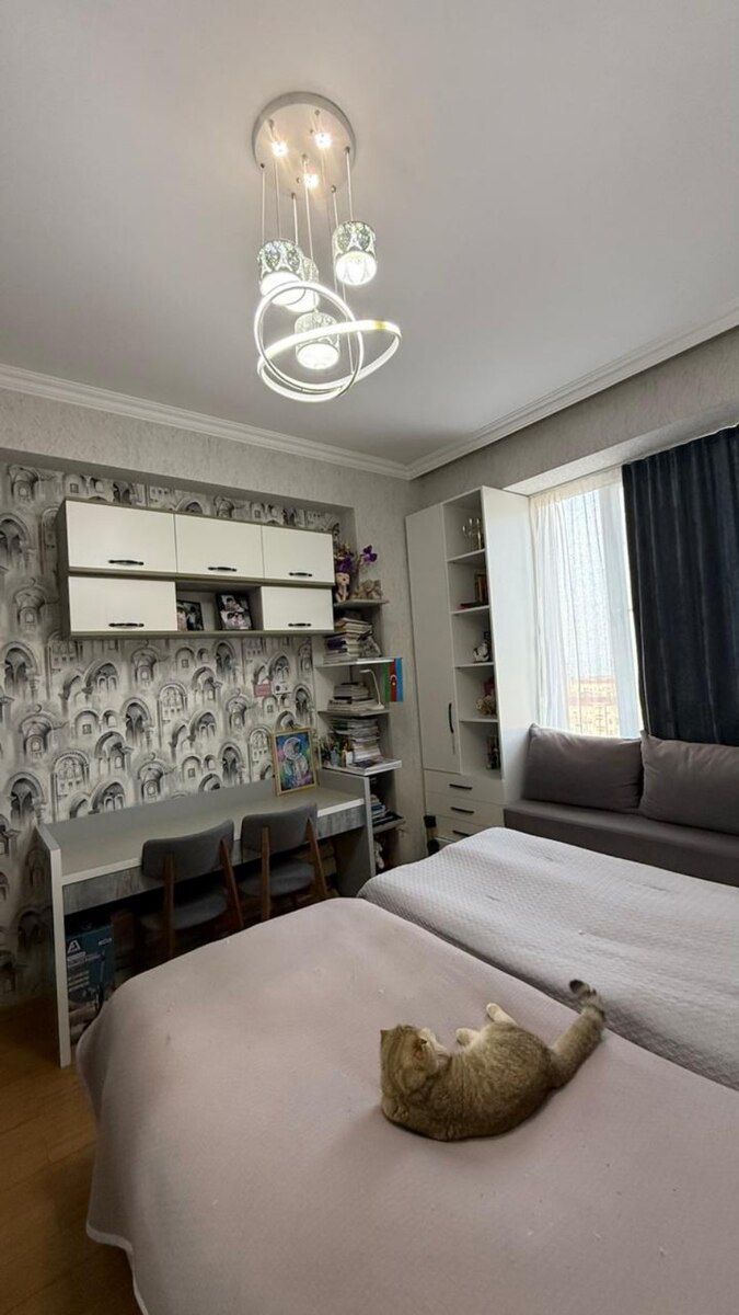 2-otaqlı yeni tikili, Sumqayıt ş., 48.5 m² — Daşınmaz əmlak, Sumqayıt (12)