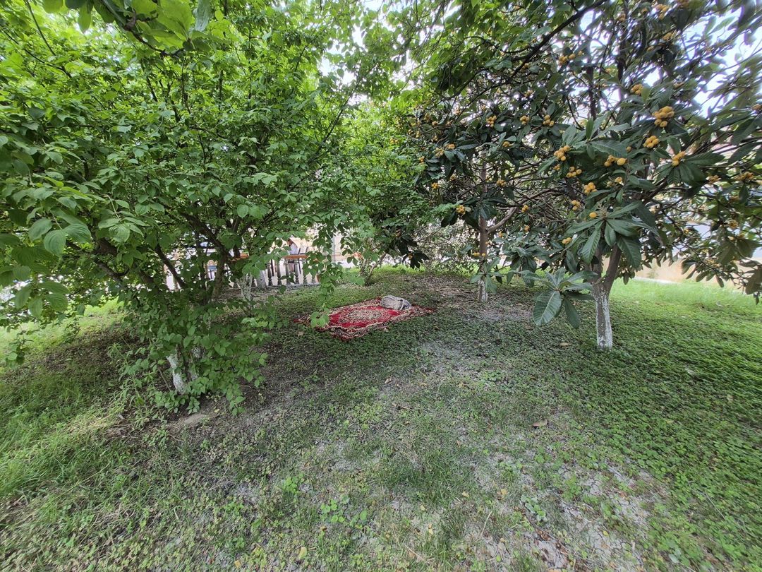 İcarəyə verilir 6 otaqlı həyət evi/bağ evi 250 m² — Ev, villa, Bakı (9)