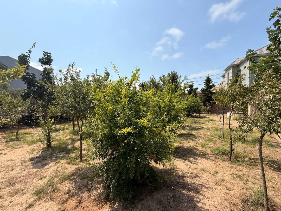 18 sot torpaq sahəsi, Mərdəkan qəs. — Torpaq, Bakı (10)