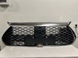 BYD Qin Plus buferin orta barmaqlığı — China Plus