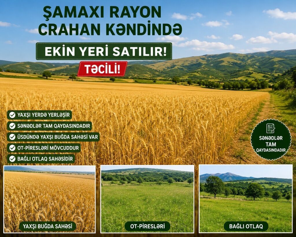 Kənd təsərrüfatı, Kupça (Çıxarış) — Torpaq, Sumqayıt (2)