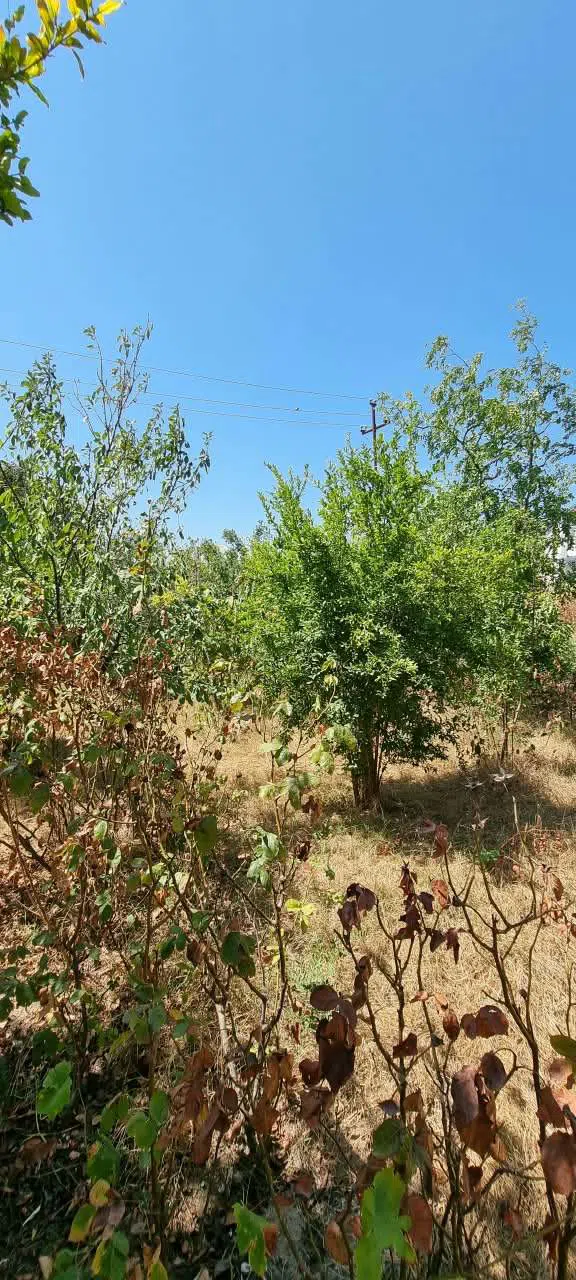 3 otaqlı həyət evi 100 m² satılır — Bakı