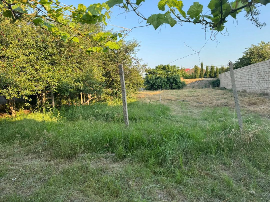 Satılır torpaq 10 sot — Torpaq, Bakı (7)