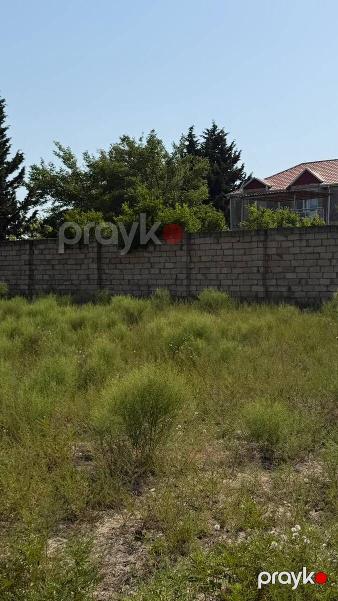 Satılır torpaq 370 sot — Torpaq, Bakı (10)