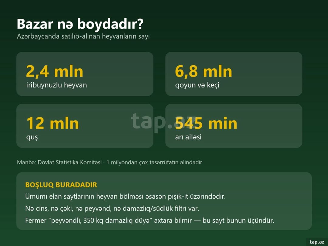 Hazır biznes - elan saytı — Biznes və avadanlıq, Oğuz (3)