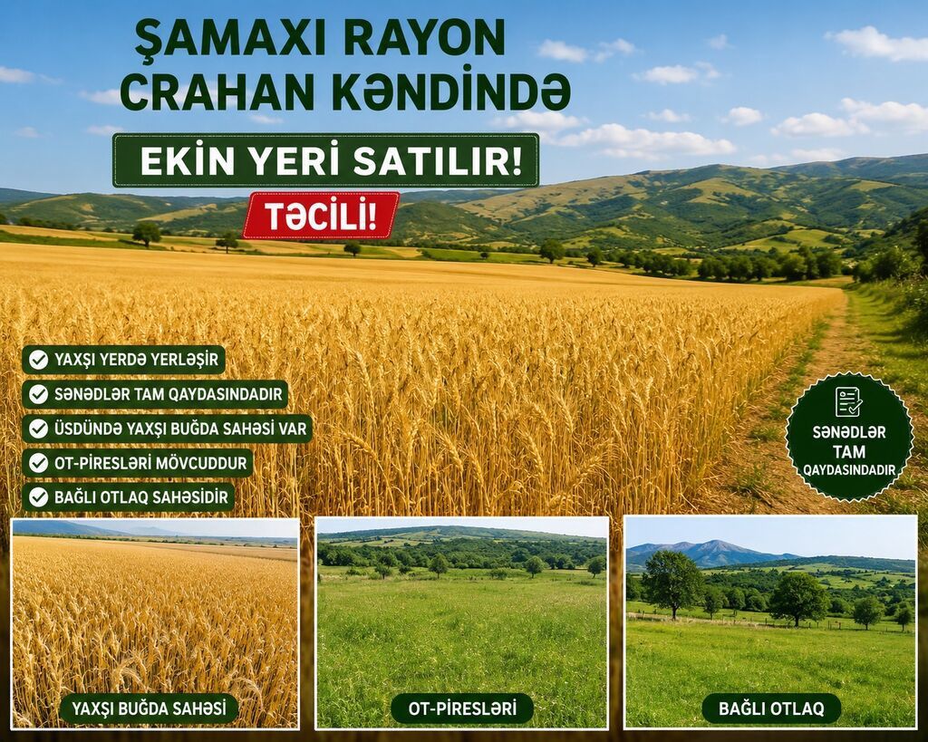 Kənd təsərrüfatı, Kupça (Çıxarış) — Torpaq, Sumqayıt (3)