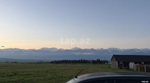 10 sot, Tikinti, Mülkiyyətçi, Kupça (Çıxarış)