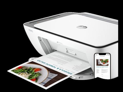 Printer HP DeskJet Ink Advantage 2876