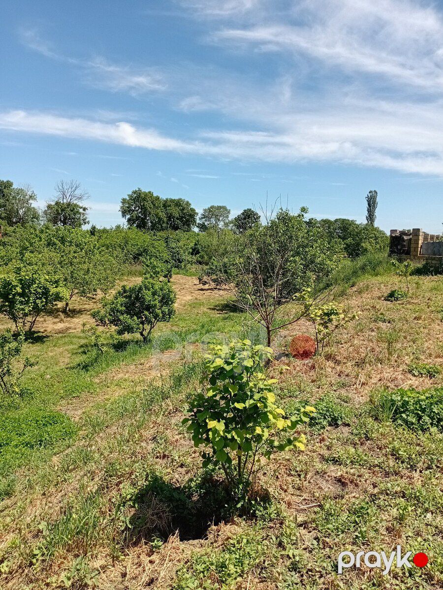 37 sot torpaq sahəsi, Xaçmaz r — Torpaq, Xaçmaz (7)