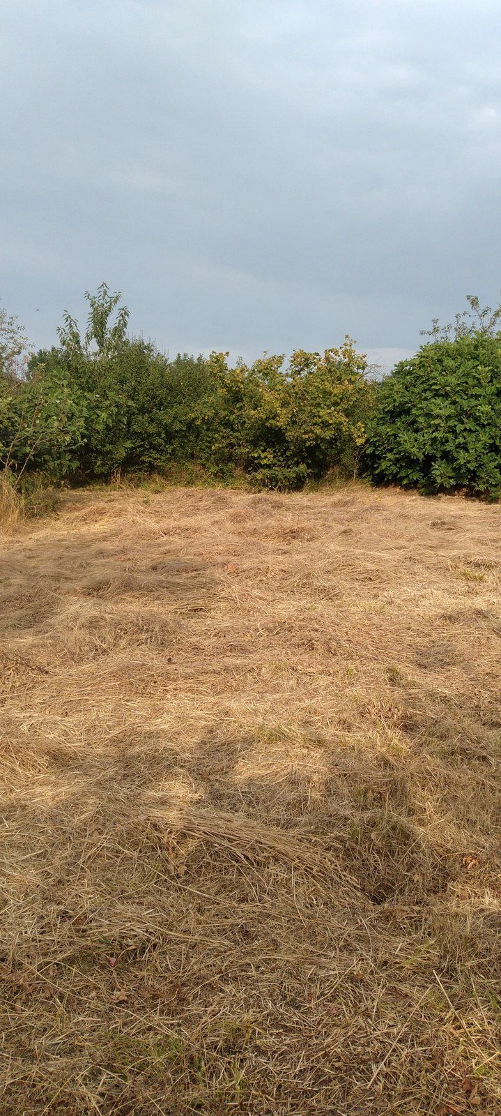 3 sot torpaq sahəsi, Quba r. — Torpaq, Quba (3)