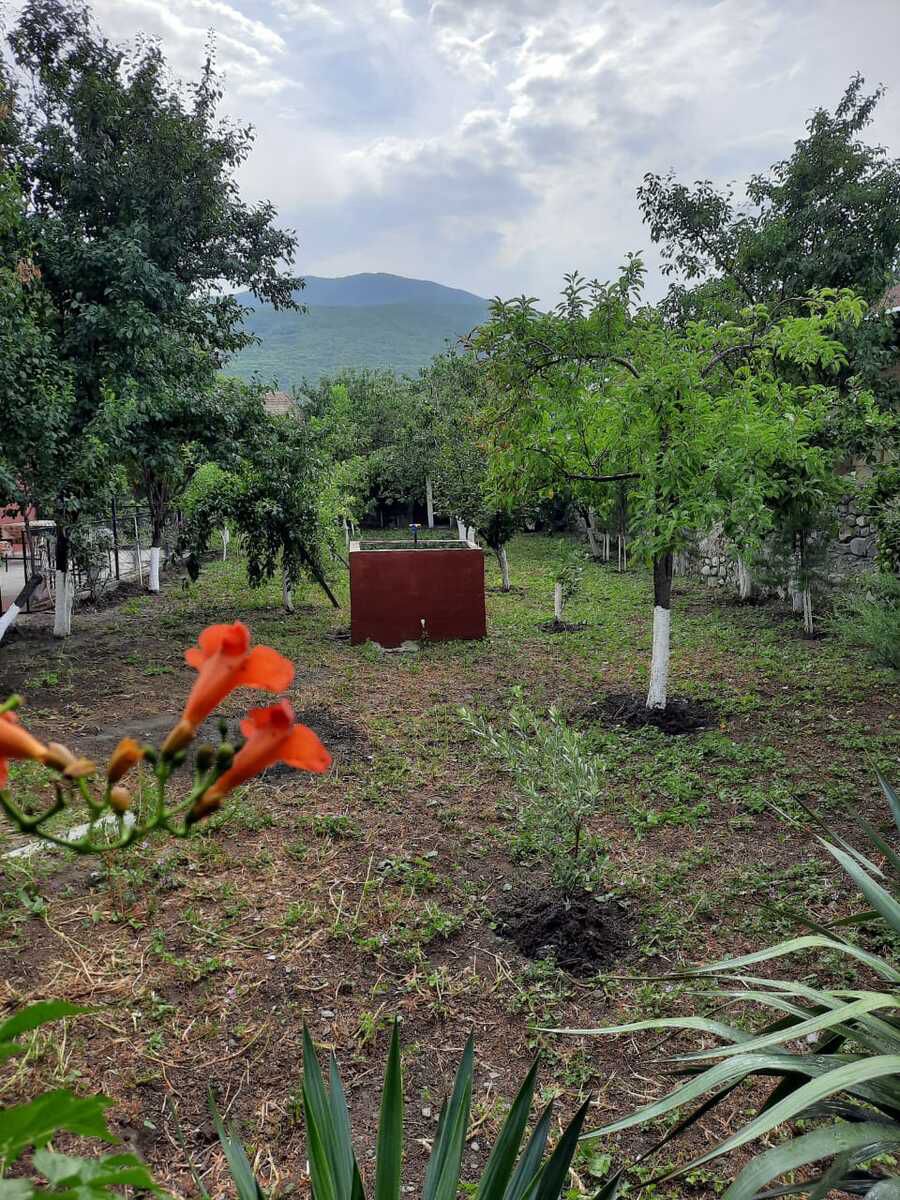 Həyət evi kirayə verilir, Şəki r. — Ev, villa, Şəki (12)