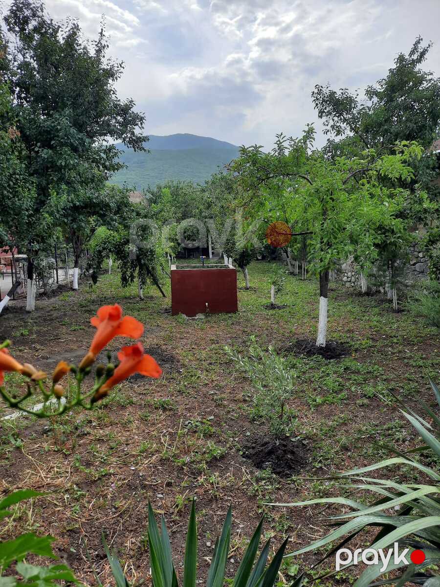 Həyət evi kirayə verilir, Şəki r — Ev, villa, Şəki (12)