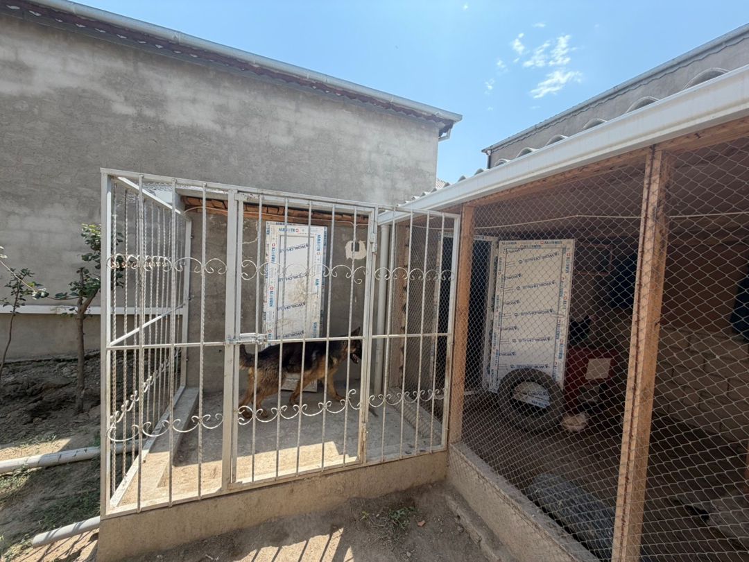 Həyət evi, Sumqayıt ş. — Ev, villa, Sumqayıt (12)