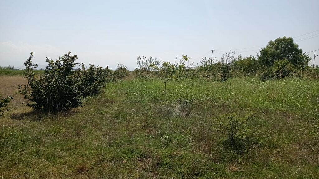 14 sot, Tikinti, Mülkiyyətçi, Kupça (Çıxarış)