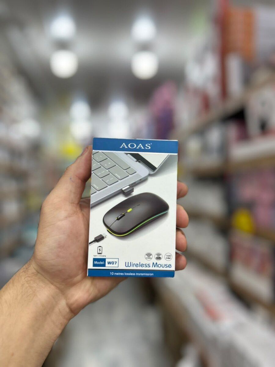Kompüter siçanları — Elektronika, Bakı (7)