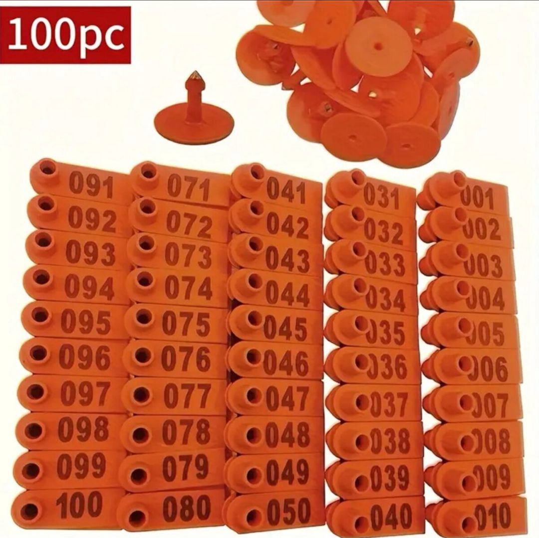 Nömrəli qulaq birkaları (1–100) — Heyvanlar, Masallı (3)