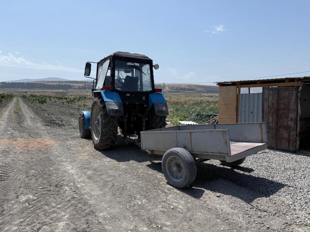 Satılır torpaq 2000 sot — Torpaq, Şabran (11)