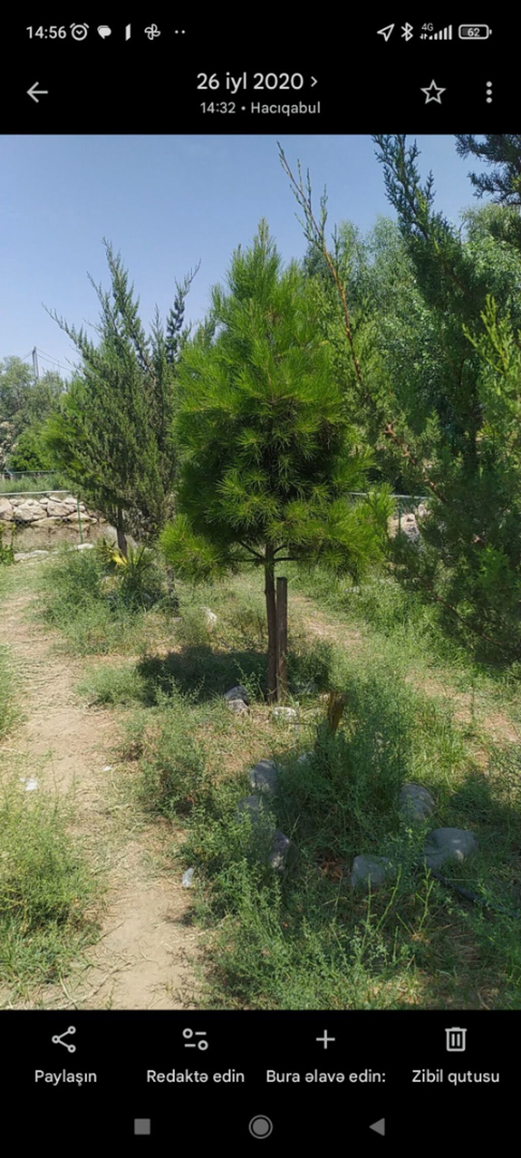 42 sot, Kənd təsərrüfatı, Makler, Kupça (Çıxarış) — Torpaq, Şirvan (2)