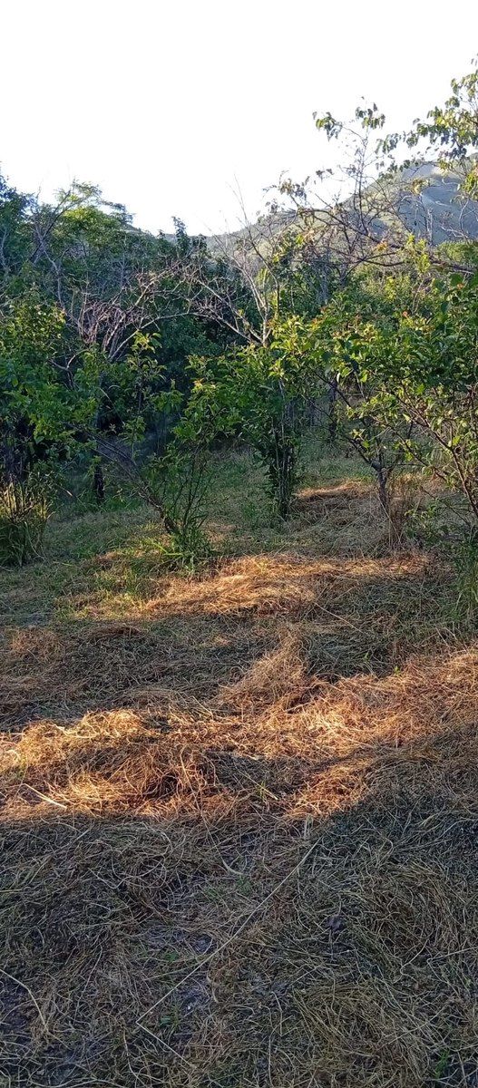 27 sot torpaq sahəsi, Xızı r. — Torpaq, Xızı (2)