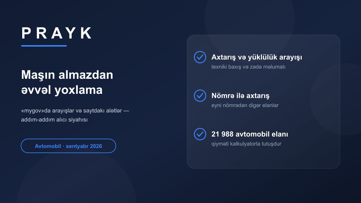 Перед покупкой машины: какие справки есть в «mygov» и на что смотреть на Prayk